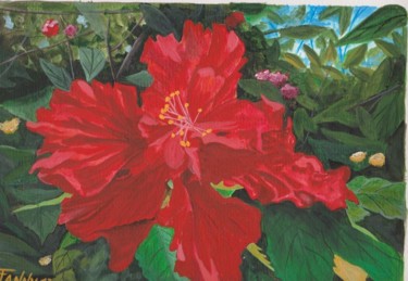 Hibiscus sur commande